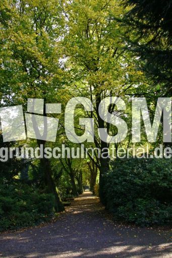 Herbst-Friedhof 003.jpg